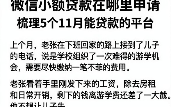 微信小额贷款在哪里申请，梳理5个11月能贷款的平台