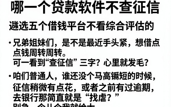 哪一个贷款软件不查征信，遴选五个借钱平台不看综合评估的app