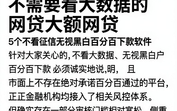不需要看大数据的网贷大额网贷,详尽说明5个不看征信无视黑白百分百下款软件