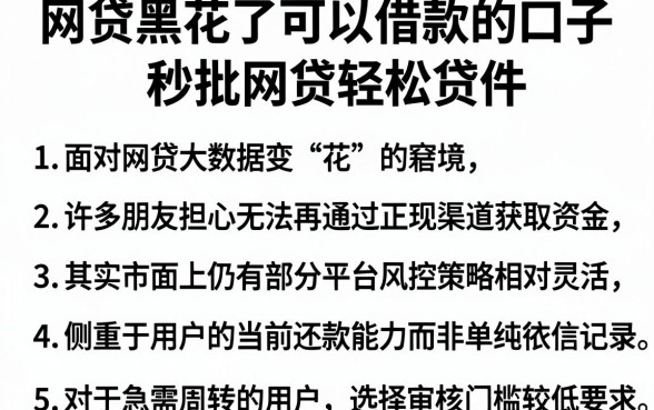 网贷黑花了可以借款的口子,罗列五个秒批网贷轻松贷的软件