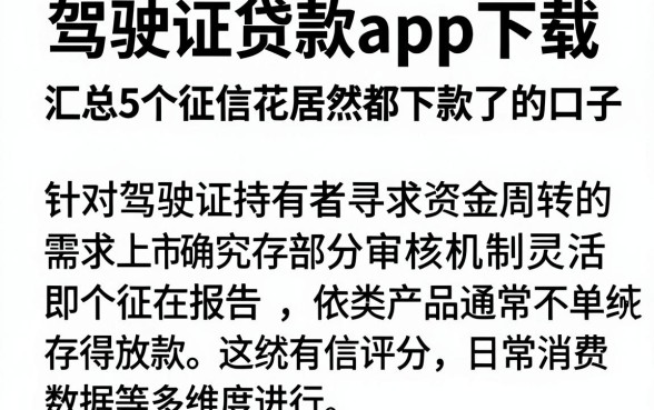 驾驶证贷款app下载，汇总5个征信花居然都下款了的口子