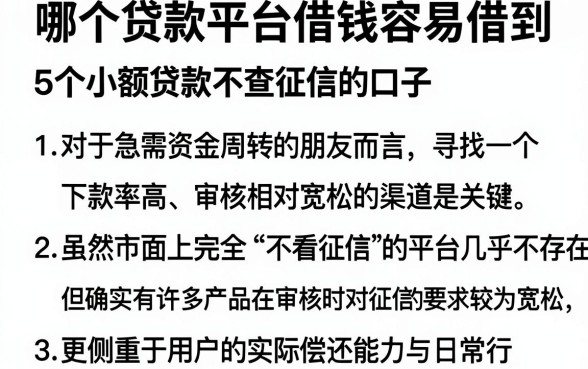 哪个贷款平台借钱容易借到，详细阐述5个小额贷款不查征信的口子