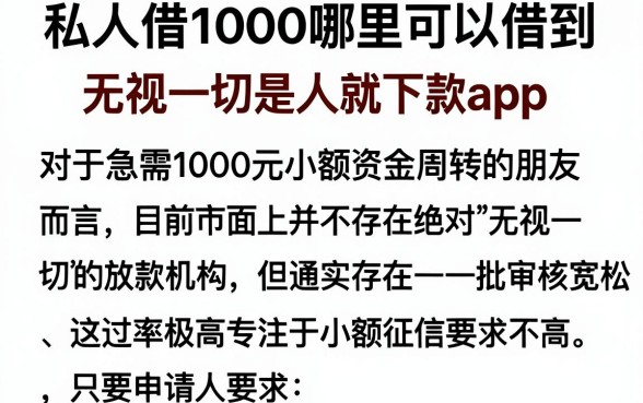 私人借1000哪里可以借到,枚举五个无视一切是人就下款app