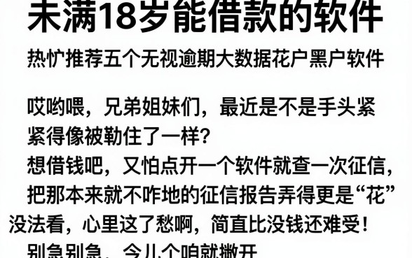 未满18岁能借款的软件，热忱推荐五个无视逾期大数据花户黑户软件