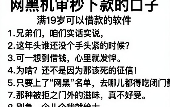 网黑机审秒下款的口子,胪列五个满19岁可以借款的软件