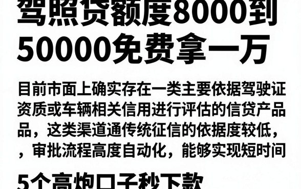 驾照贷额度8000到50000免费拿一万,详尽说明5个高炮口子秒下款