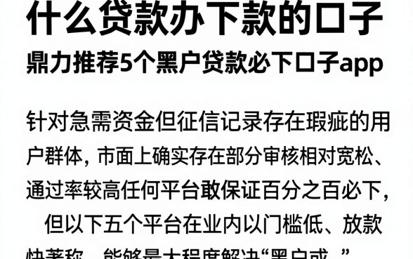 什么贷款办下款的口子,鼎力推荐5个黑户贷款必下口子app
