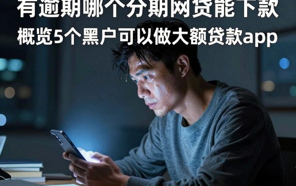 有逾期哪个分期网贷能下款，概览5个黑户可以做大额贷款app