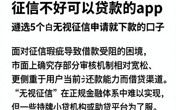征信不好可以贷款的app,遴选5个无视黑白无视征信申请就下款的口子