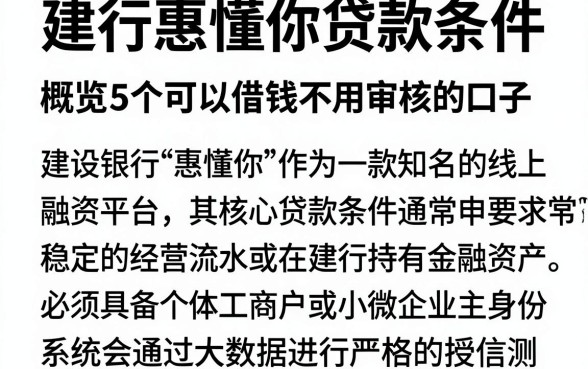 建行惠懂你贷款条件,概览5个可以借钱不用审核的口子