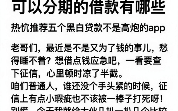 可以分期的借款有哪些,热忱推荐五个黑白贷款不是高炮的app