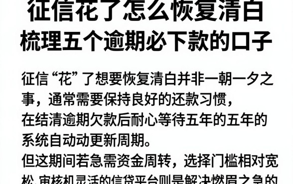 征信花了怎么恢复清白，梳理五个逾期必下款的口子
