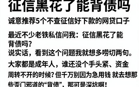 征信黑花了能背债吗，诚意推荐5个不查征信好下款的网贷口子