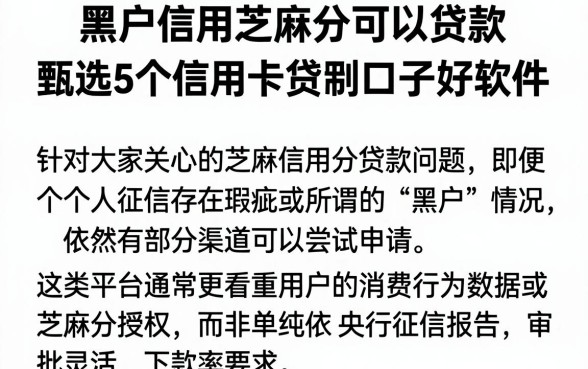 黑户信用芝麻分可以贷款,甄选5个信用卡贷款口子好软件