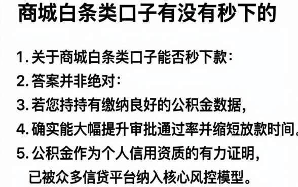 商城白条类口子有没有秒下的,胪列五个公积金快速贷款app