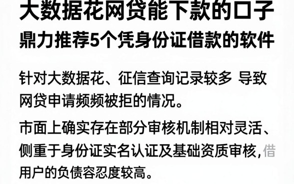 大数据花网贷能下款的口子,鼎力推荐5个凭身份证借款的软件