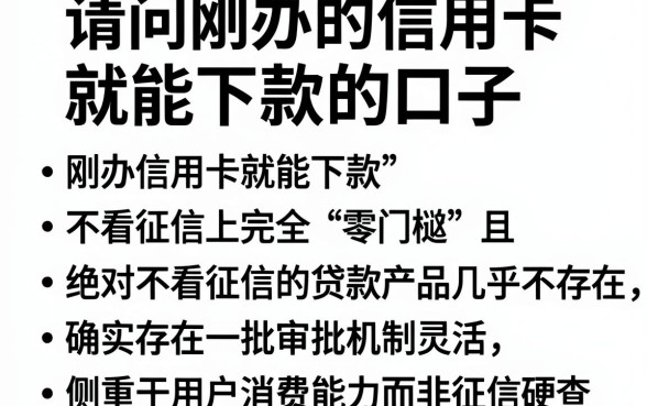 请问刚办的信用卡就能下款的口子,胪列五个不看征信查询的平台