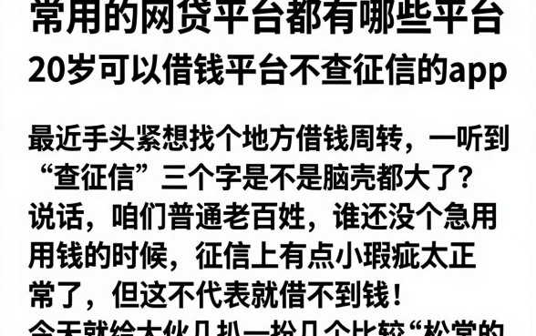 常用的网贷平台都有哪些平台,概括五个20岁可以借钱平台不查征信的app