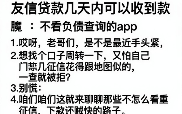 友信贷款几天内可以收到款，胪列五个不看负债查询的app