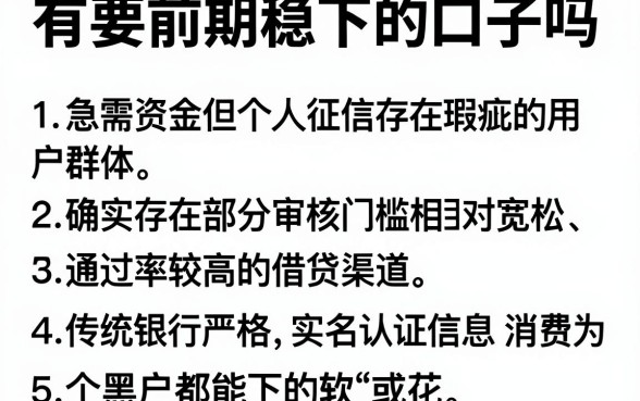 有要前期稳下的口子吗，详细阐述5个黑户都能下的软件