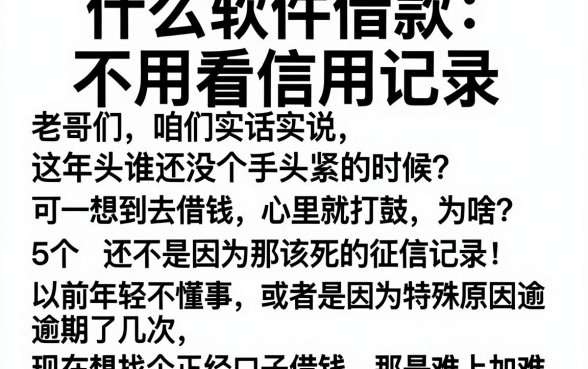 什么软件借款不用看信用记录,详尽说明5个比较好的小额贷款平台