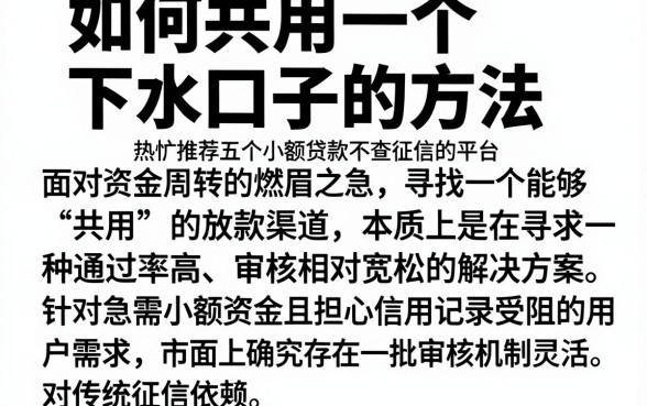 如何共用一个下水口子的方法,热忱推荐五个小额贷款不查征信的平台