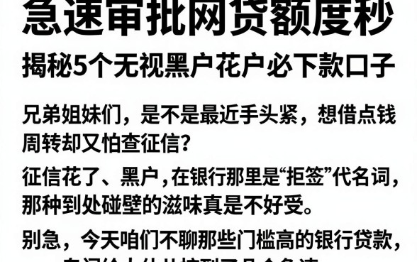 急速审批网贷额度秒,揭秘5个无视黑户花户必下款口子