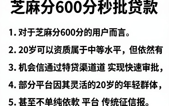 芝麻分600分秒批贷款,胪列五个20岁可以借钱平台不查征信的软件