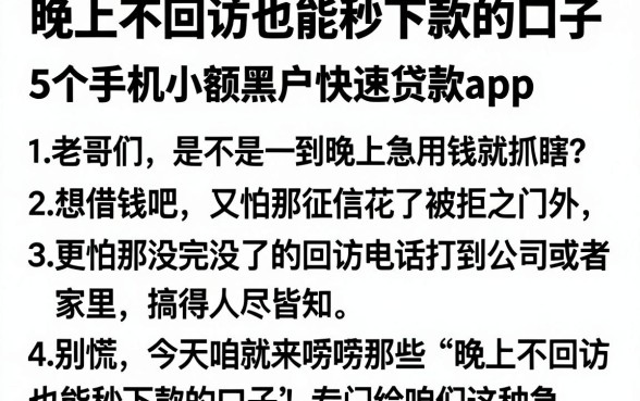 晚上不回访也能秒下款的口子,详细阐述5个手机小额黑户快速贷款app