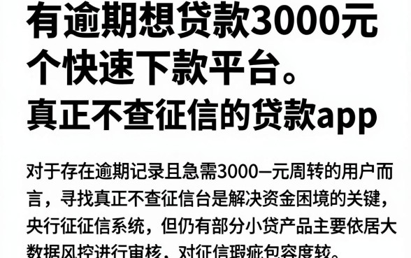 有逾期想贷款3000元快速下款平台,深入剖析五个真正不查征信的贷款app