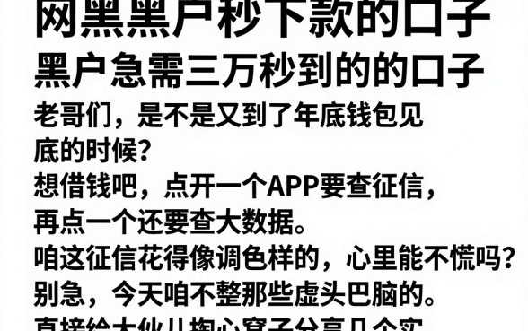 网黑黑户秒下款的口子,概括五个黑户急需三万秒到的的口子