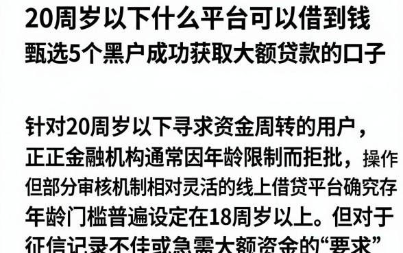 20周岁以下什么平台可以借到钱,甄选5个黑户成功获取大额贷款的口子