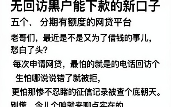 无回访黑户能下款的新口子，概括五个分期有额度的网贷平台