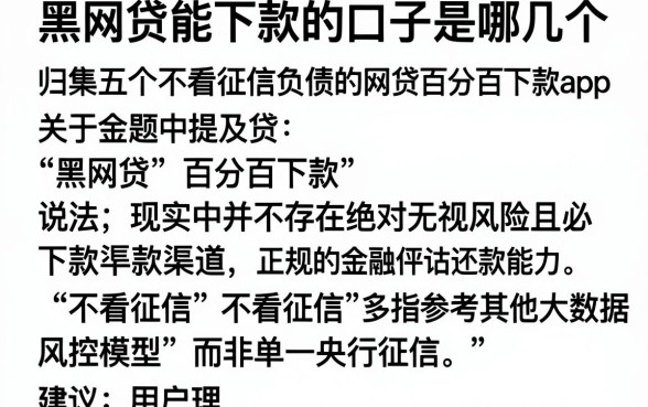 黑网贷能下款的口子是哪几个,归集五个不看征信负债的网贷百分百下款app