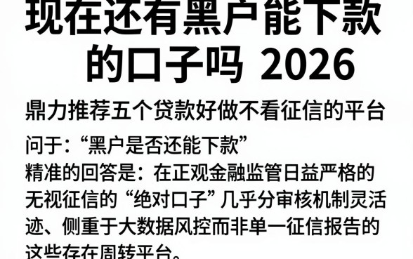 现在还有黑户能下款的口子吗2026,鼎力推荐五个贷款好做不看征信的平台