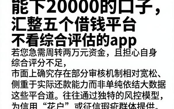 能下20000的口子，汇整五个借钱平台不看综合评估的app
