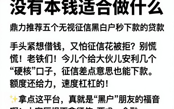 没有本钱适合做什么,鼎力推荐五个无视征信黑白户秒下款的贷款