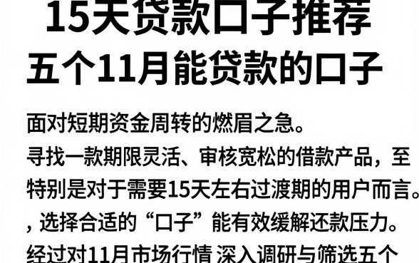 15天贷款口子推荐，深入剖析五个11月能贷款的口子