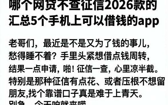 哪个网贷不查征信2026款的,汇总5个手机上可以借钱的app