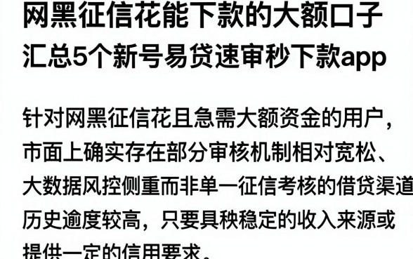 网黑征信花能下款的大额口子,汇总5个新号易贷速审秒下款app