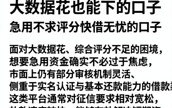 大数据花也能下的口子,筛选五个急用不求评分快借无忧的口子