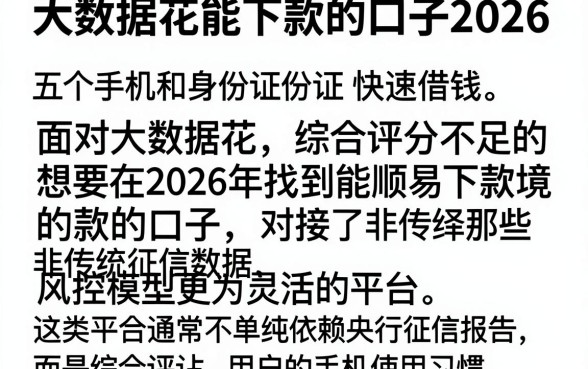 大数据花能下款的口子2026，细致阐述五个手机和身份证快速借钱app