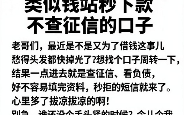 类似钱站秒下款不查征信的口子,规整5个不看负债查询的软件
