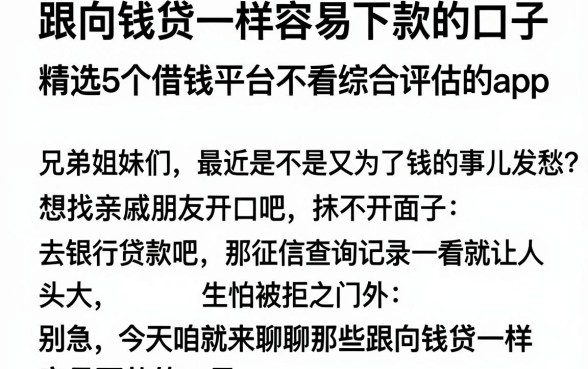 跟向钱贷一样容易下款的口子，精选5个借钱平台不看综合评估的app