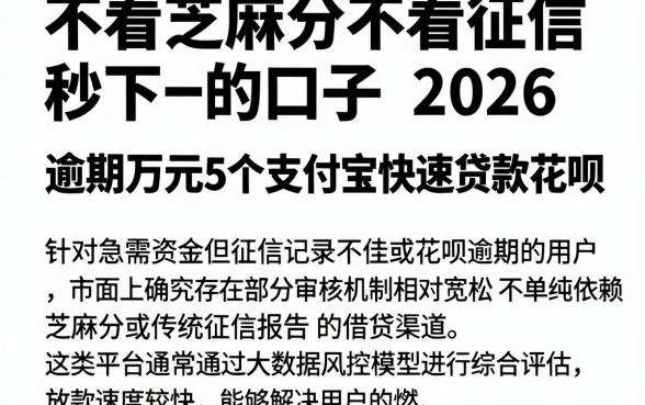 不看芝麻分不看征信秒下的口子2026,鼎力推荐5个支付宝花呗逾期万元快速贷款平台