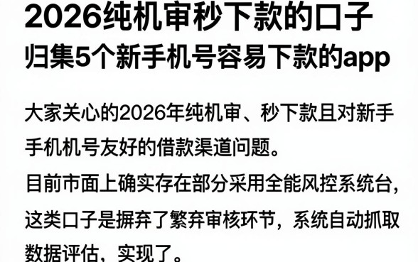 2026纯机审秒下款的口子，归集5个新手机号容易下款的app