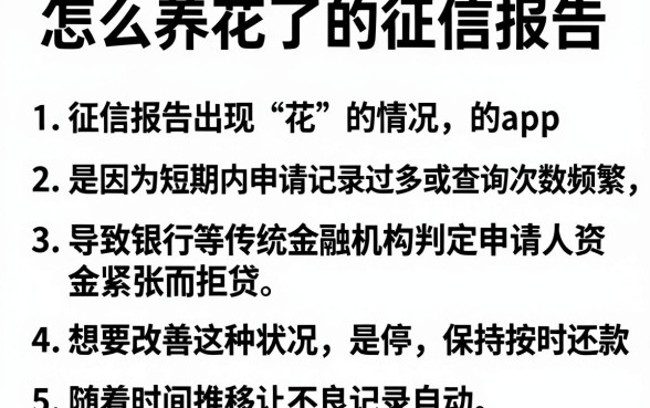 怎么养花了的征信报告,细致阐述5个借钱平台不看综合评估的app