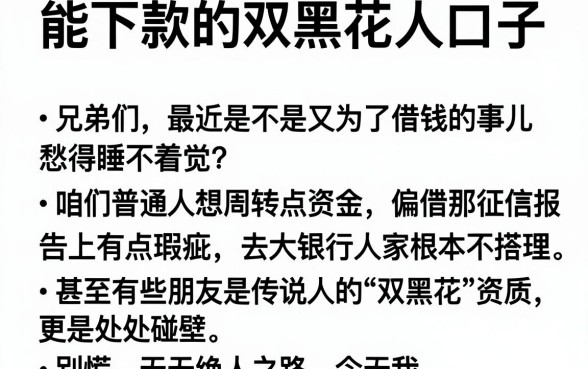 能下款的双黑花口子,概览五个值得信赖的借钱平台