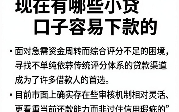 现在有哪些小贷口子容易下款的，归集五个不看综合评分的网贷