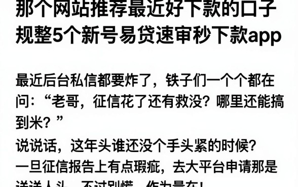 那个网站推荐最近好下款的口子,规整5个新号易贷速审秒下款app